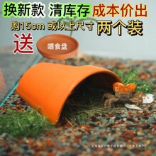 ����������S����ܶ�Ѩ�t����Ƭ������̨��̨���ǿ����~�����쾰