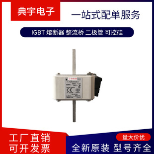 Fuse 170m6658 6659 6660 6661 6662 6663 6664 Complete Models
