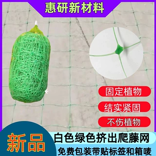 绿色园艺网花卉格子网植物爬藤网百香果架子蔬果网透光 支架网搭