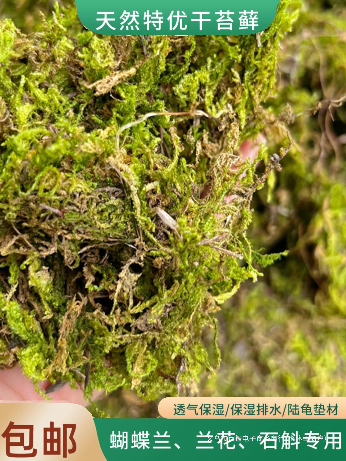 新鲜干苔藓兰花蝴蝶兰专用水苔兰花种植干苔藓青苔营养土爬宠垫材