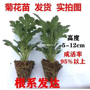 �ջ����ļ��_��ǧ�^�վ��´�ջ������҃���ͥԺ�̨���Ե��Ի���