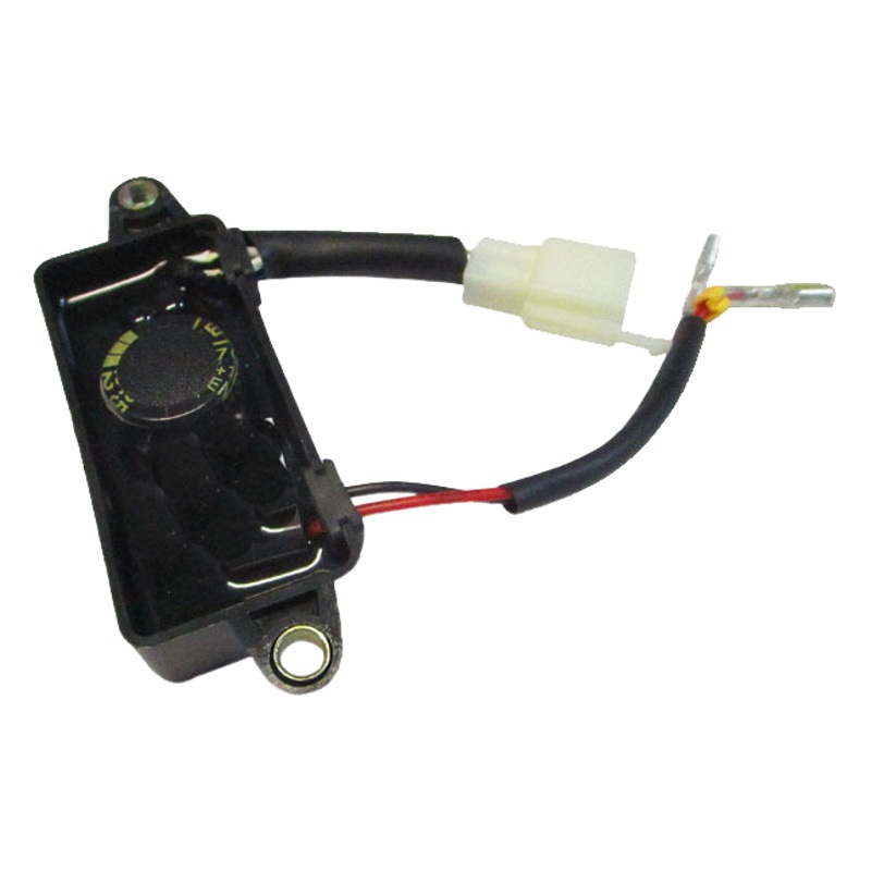 Regulador de voltaje de los accesorios 2-3kw del generador del motor de gasolina GX160 transfronterizo