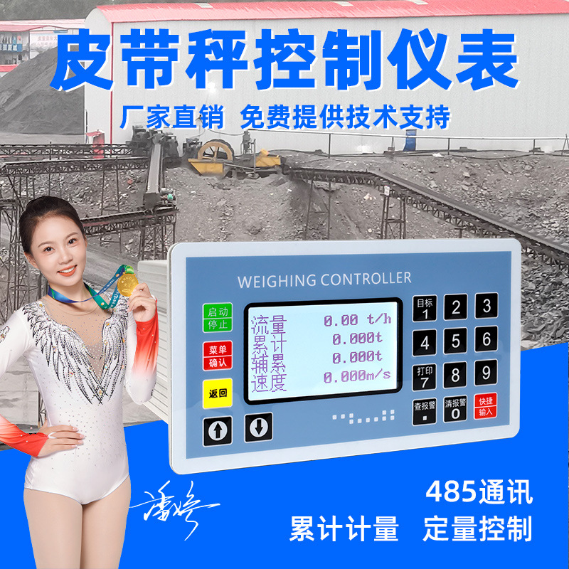 电子皮带秤称重计价秤仪表螺旋配料控制器蛟龙计量称系统传感器