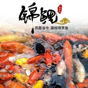 �\����ˮ���N���~���~�~����~��ˮ���l�^�p�~���ͻ���B�\���O��