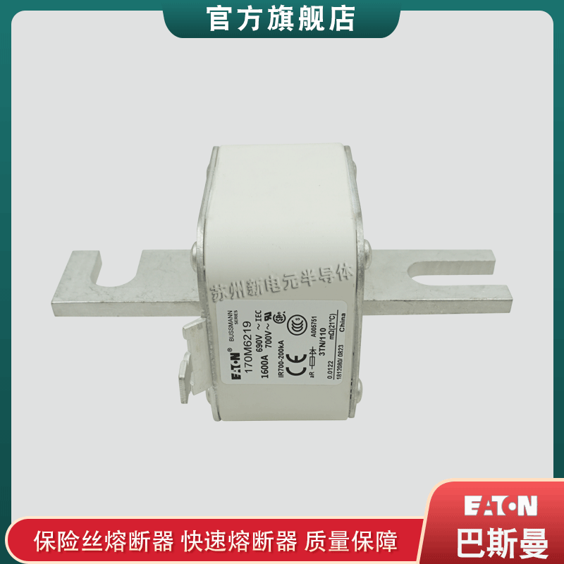 170M6069 170M6121 170M6219 美国巴斯曼bussmann熔断器保险丝