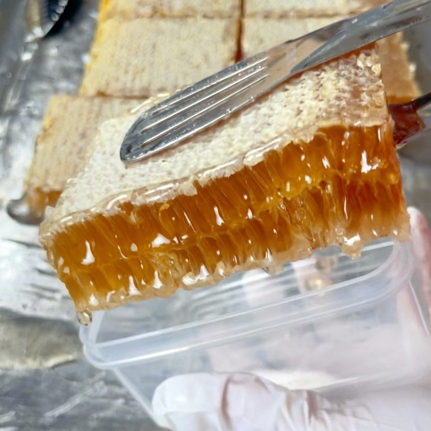 农家自产盒装蜂巢蜜250克巢蜜荆条巢蜜蜂蜜野山花蜂蜜