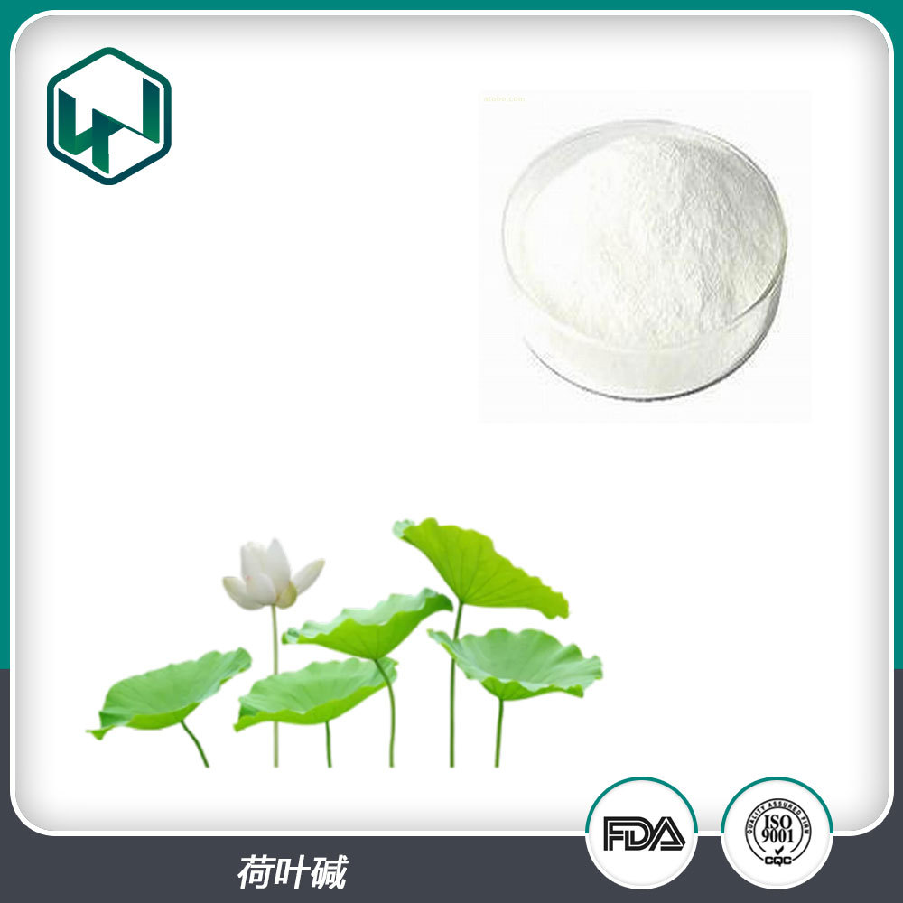 荷叶碱 98%含量荷叶提取100g袋多规格原料 厂家现货包邮量大从优