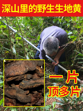 爷爷家自己挖的深山纯野生生地黄500g中药材新鲜干货怀地黄粉特大