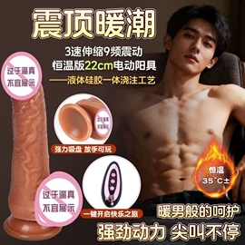 充气娃娃;其他男用;仿真阳具