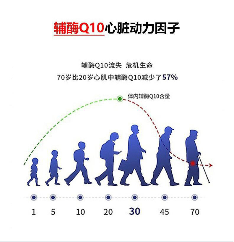 辅酶进口原材料