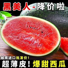 ���r����������8��Fժ�M�ڮa�غ��Ѽt������Ϻ�Ƥ���]�����֭