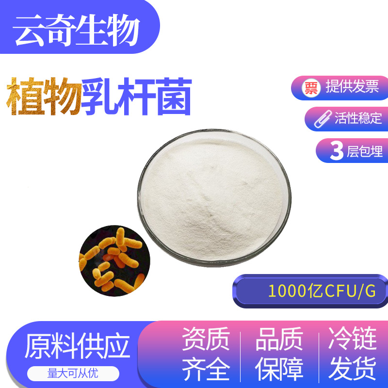 植物乳杆菌1000亿 乳酸菌粉 益生菌原料 食品级 100g/袋 现货