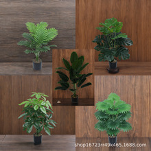 亚马逊天堂鸟仿真花仿真绿植装饰高端轻奢客厅落地摆件造景盆栽