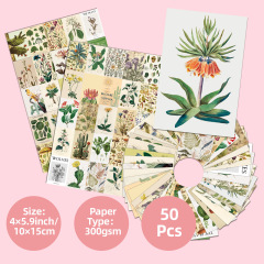 50枚の動植物の壁面のカードの背景の寮の壁の装飾のレトロな花卉のカードの暖かいメッセージカードのはがき