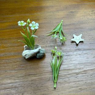 zˮˮ쾰~ײmݷGֲ辰Sl