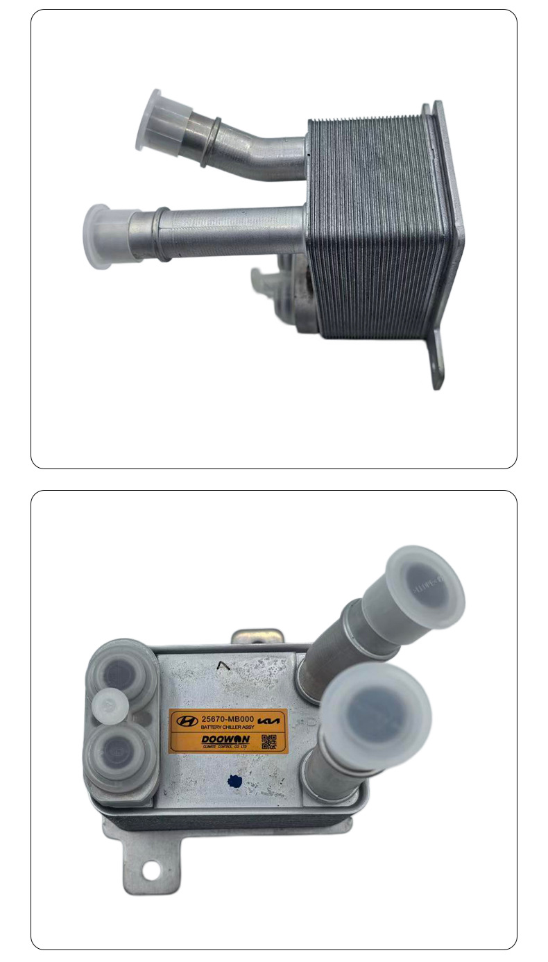 Suitable for Kia Ev5 Electric Vehicle Cooler Radiator Coolant Circulation Cooling Device Oe25670Mb00