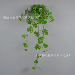 ����ڒ�Gֲ���������ٺ����~���zƬ���|ins�Lɭϵ���ڵ���b�