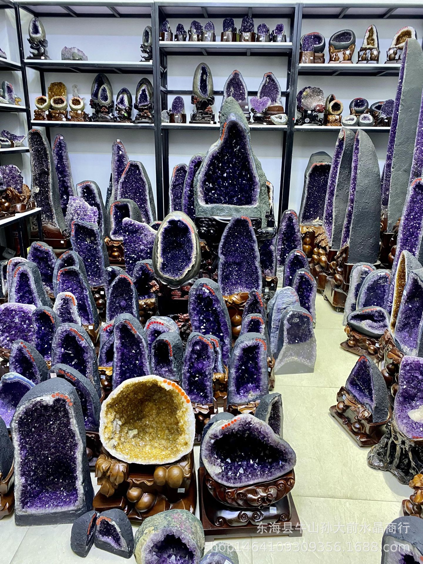 2023_11_29_10_18_IMG_1550