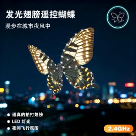遥控车;遥控飞机;遥控船
