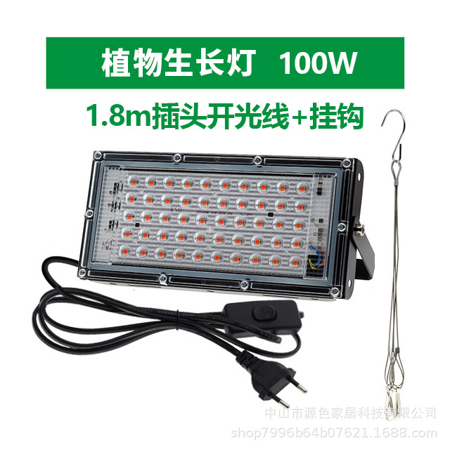 100W + 1.8m 스위치 플러그 와이어 + 후크