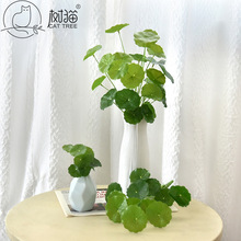 ��؈�����~�X��9�^С���~���ϼٻ��ָ������~���҃��b�ֲ������