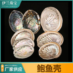 卸売り天然メキシコ大アワビ殻研磨ニュージーランド黒金アワビ貝殻工芸品装飾品
