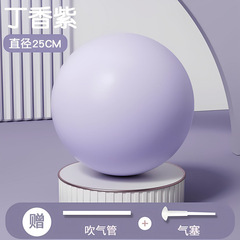 普拉提小球瑜伽球盆底肌小球训练加厚防爆健身平衡瑜伽球