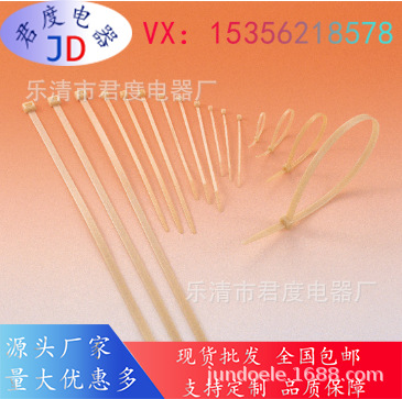 JD温度高达+ 150°C 电缆扎带111-01190 | T50L-PA46-NA