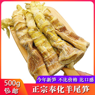 �����خa���β�S5�� �}���S�r�����Ʊ��S��S���}�S�׹S