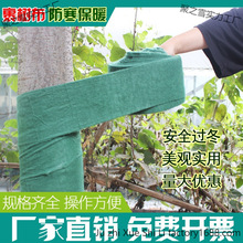 树木绿化果树防寒布无纺布包树布防冻保温保暖保湿缠树布条裹树布