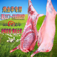 ��ȫ����ֻ�l؛��חl���r����ȫ�������10-55����ɹ��خa