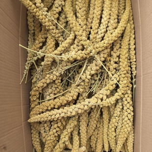 ��Ȼ�S������]�W�^��ʳ�}��ZС����\�쾰�bzӰ�s�Z��