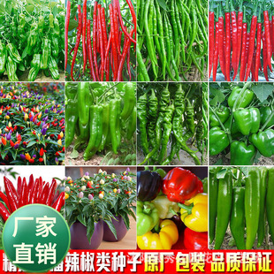 ���l�����N�Ӻ���һ̖���콷�����𽷷N��������ζ���m�ϴ���e�N