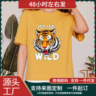 ���羳�W�a��2025 �¿�羳���R�d  ��Ұ�ϻ��D������