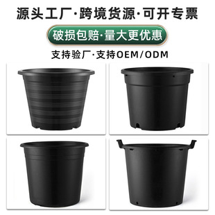 �a��������̖���ϻ���Ӻ�Ӂ��脓��羳����ͥԺ��ɫ���ϴ���