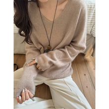 ����2025�＾�¿��H�w���m��ë��q��ë�켏ë�A�I/V�Iᘿ�����