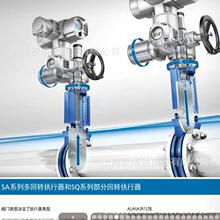 AUMA늄bSAR10.2W늄ӈAC01.2ƆԪ{yT