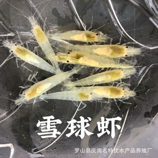 ���]ѩ���r���w �����^�p�r������ֱ�� �����r ���r���r ·�pȫ��