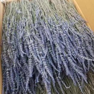 ޹�²ݸɻ� ��Ȼ�滨�ҾӲ廨��޹�YƷ�仨DIY�ɻ������M��޹�²�
