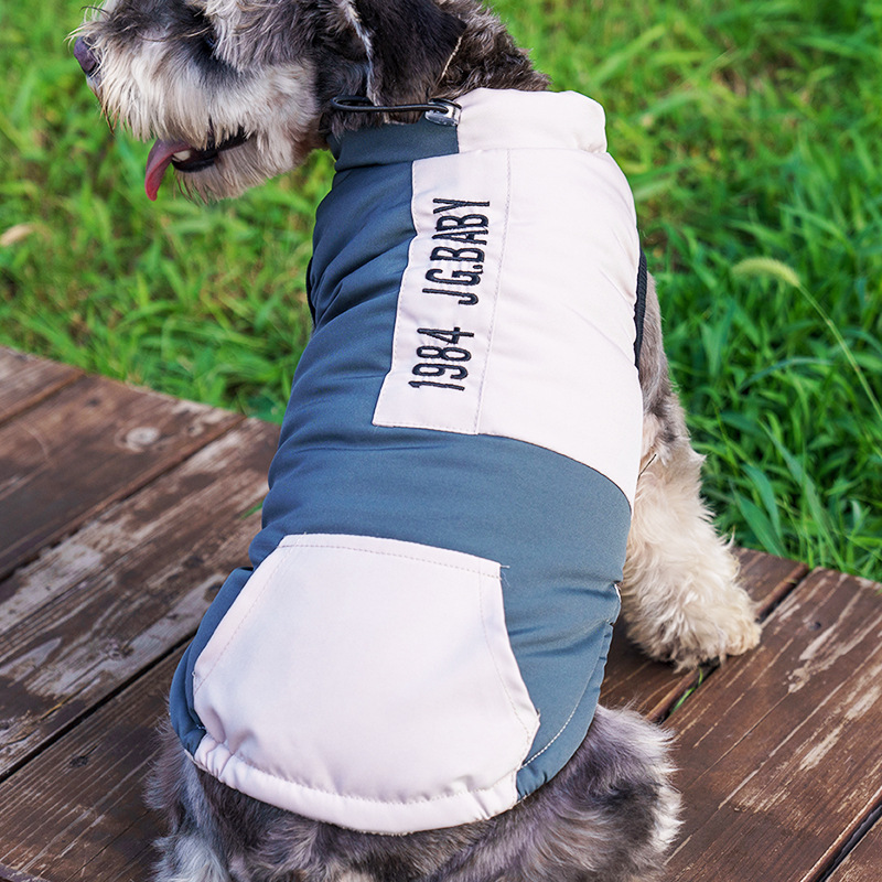 Oso de peluche de dos patas Bomei chenari Chaleco de perro pequeño Ropa de perro mascota transfronteriza engrosada Otoño e Invierno