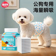 公狗专用一次性纸尿裤狗狗生理裤幼犬防尿礼貌带泰迪狗宠物尿不湿