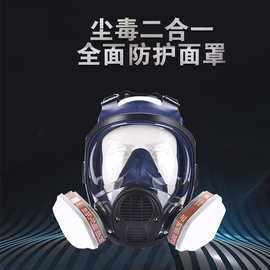 防毒面具喷漆化工防工业粉尘农药打磨消防硅胶跨境防毒面罩