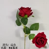 Red-11 flowers [wholeheartedly]
