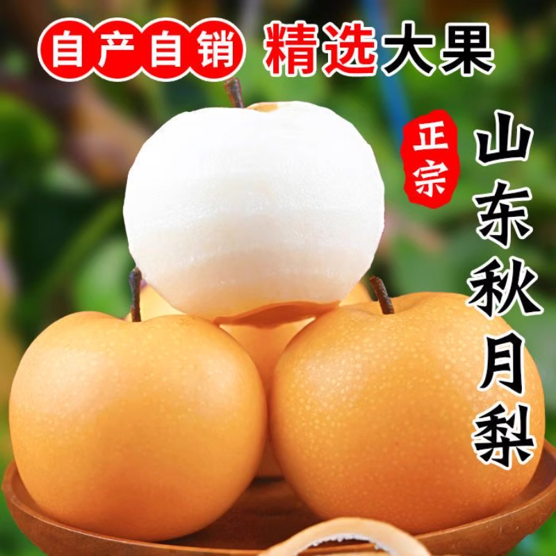 正宗山东秋月梨新鲜9斤梨子当季现摘整箱冰糖梨雪梨蜜梨水果包邮