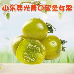 �����x��ɽ�|�۹�������}Ů�� 5�ﮔ����С�������r�߲�С������