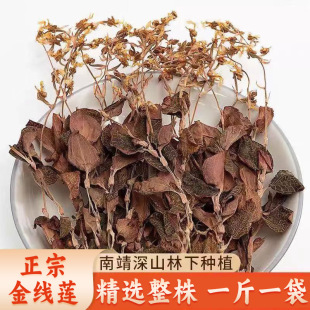 ���ڽ�ɏ�ٷ���Ş�����_����5�˽ｨ�Ͼ��ַ�Ұ���Nֲ