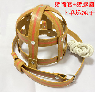 �¿�Ӻ�ĸ�i����ĸ�i��ҧ���i����С�i��ҧ�F؛�ٰl���Sֱ�N����