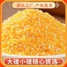 东北小碴子黑龙江农家碎玉米粒小碴子玉米渣玉米粥五谷杂粮