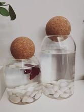 玻璃密封罐花茶干果防潮储物合成软木球松木赛直径61mm软木球塞