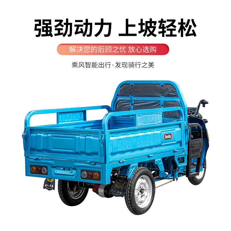 Fábrica de suministro de triciclo eléctrico de carga de carga pesada doméstica granja camión de batería tres saltones exportación eec